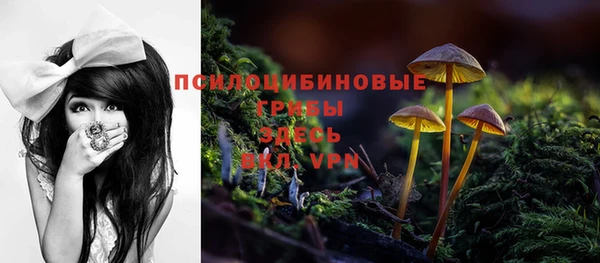 трава Армянск