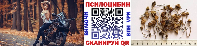 Псилоцибиновые грибы MAGIC MUSHROOMS  Луга 